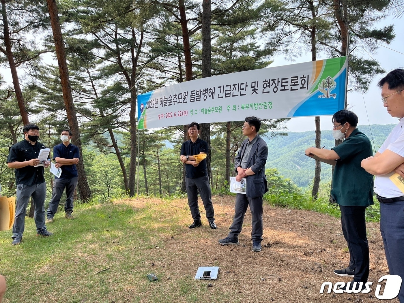 북부지방산림청이 22일 경기 양평 국립하늘숲추모원에서 잣나무 돌발병해 긴급진단을 위한 현장토론회를 열고 있다. (북부지방산림청 제공) 2022.6.22/뉴스1