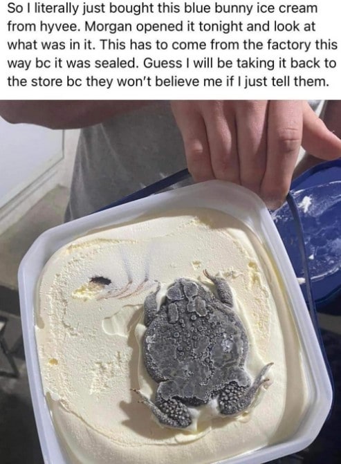 페이스북 갈무리 ⓒ 뉴스1