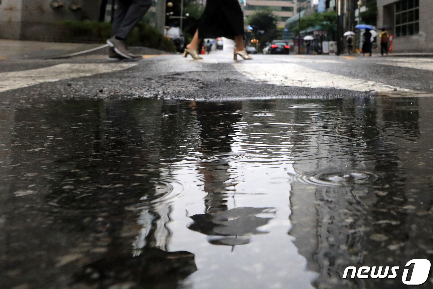 비 내리는 도로 ⓒ News1