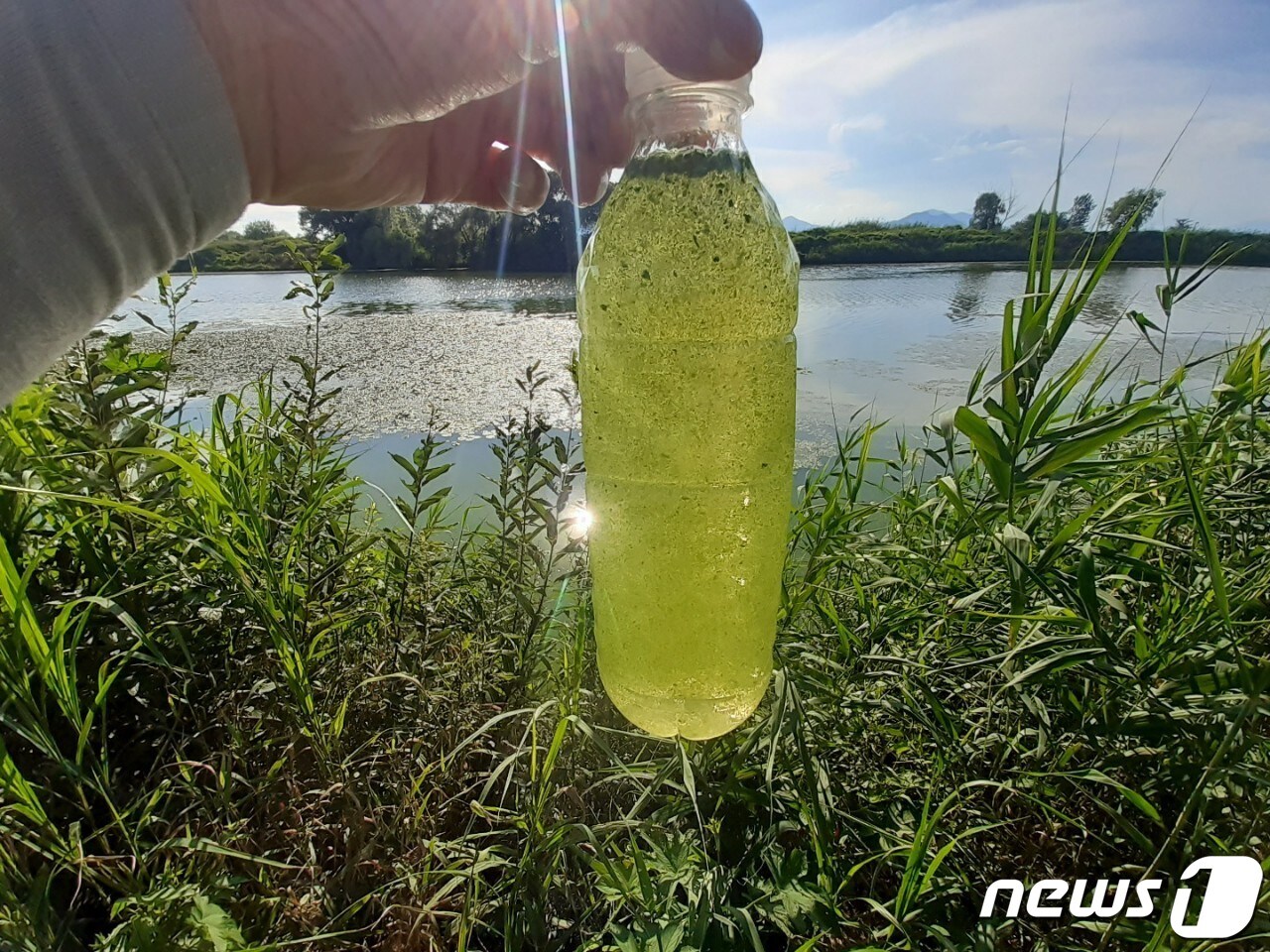 지난 3일 경남시민환경연구소와 김해양산환경운동연합이 낙동강 물 상태를 조사하기 위해 김해 생림 삼랑진 철교 아래 강변 여과수 취수원 인근에서 채취한 물의 모습. 물통에 담긴 물에 녹조가 섞여 있다.(김해양산환경운동연합 제공)ⓒ 뉴스1