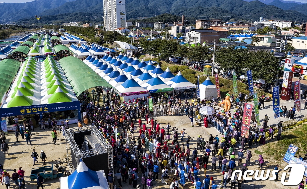 영주시는 28일 풍기인삼축제에서 판매할 수삼의 채굴부터 보관·반입·판매까지 전 과정을 관리해 외지삼 유입을 차단 한다. 영주 풍기인삼축제 (경북도 제공. 재판매 및 DB 금지)/뉴스1