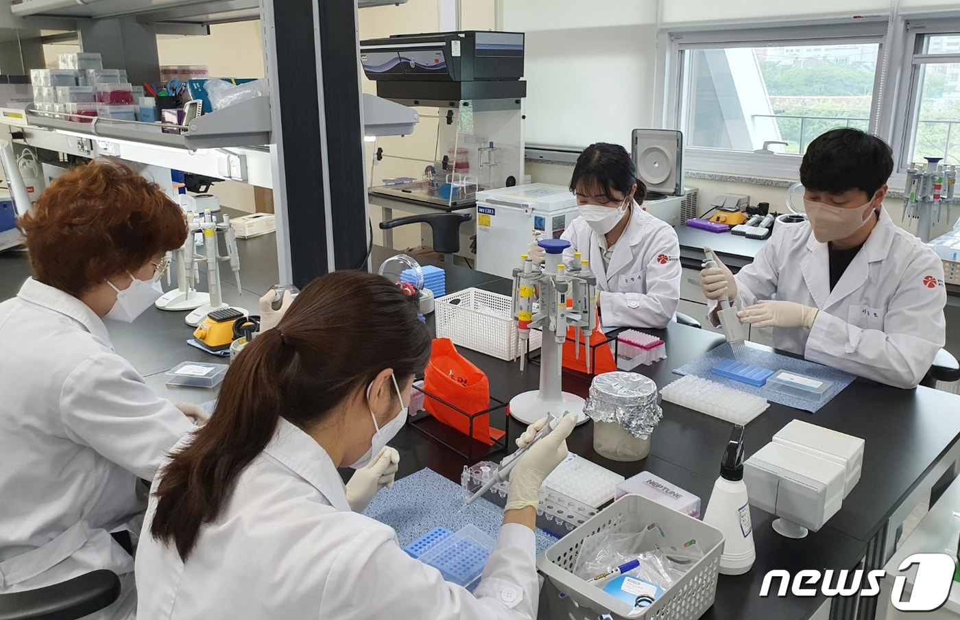 광주시 보건환경연구원 분자생물학 실험실 모습.(광주시보건환경연 제공)2022.7.27/뉴스1 ⓒ News1