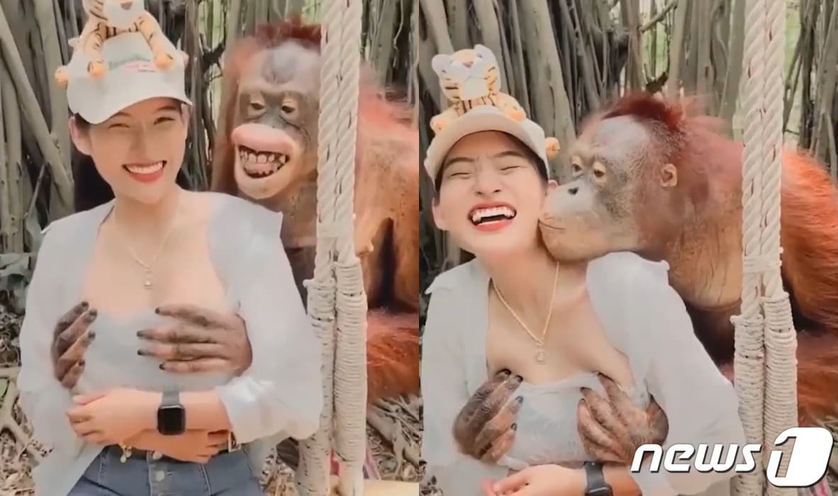 (유튜브 갈무리) ⓒ 뉴스1