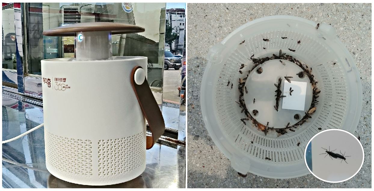 지난 4일 서울 은평구에서 진행된 러브버그 포획 실험에서 '바이오레즈' 기술이 적용된 유한양행의 에어트랩 '해피홈 360+'이 작동하고 있다(서울바이오시스 제공). ⓒ 뉴스1