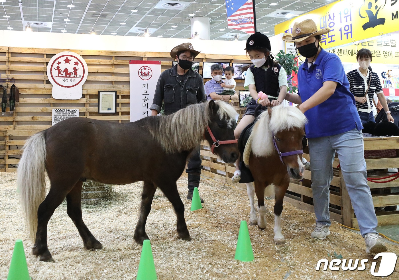 승마체험하는 어린이.(뉴스1 DB) News1 임세영 기자