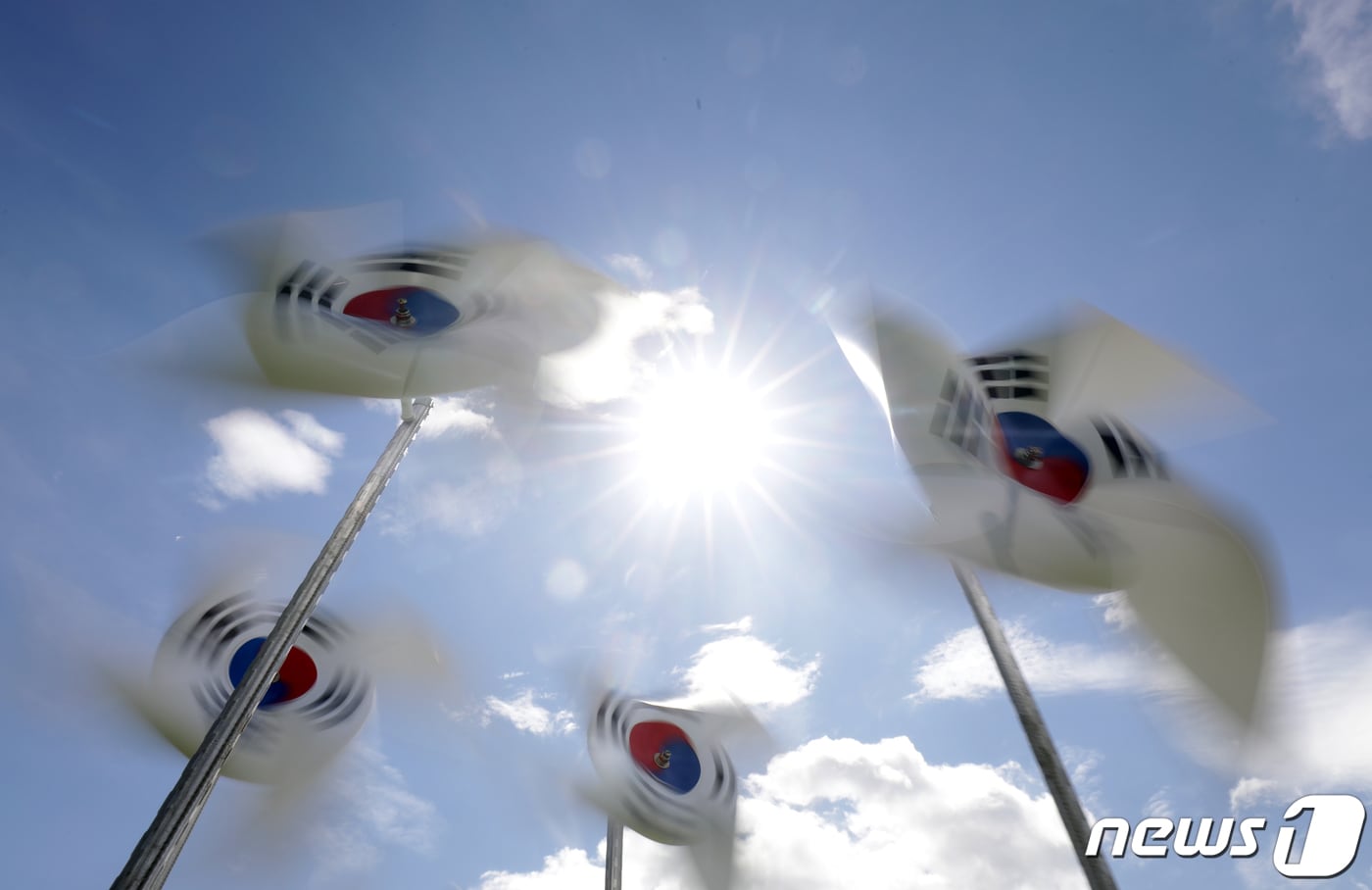 8일 대전충남 전 지역에 폭염경보가 발효됐다. /뉴스1 ⓒ News1 윤일지 기자