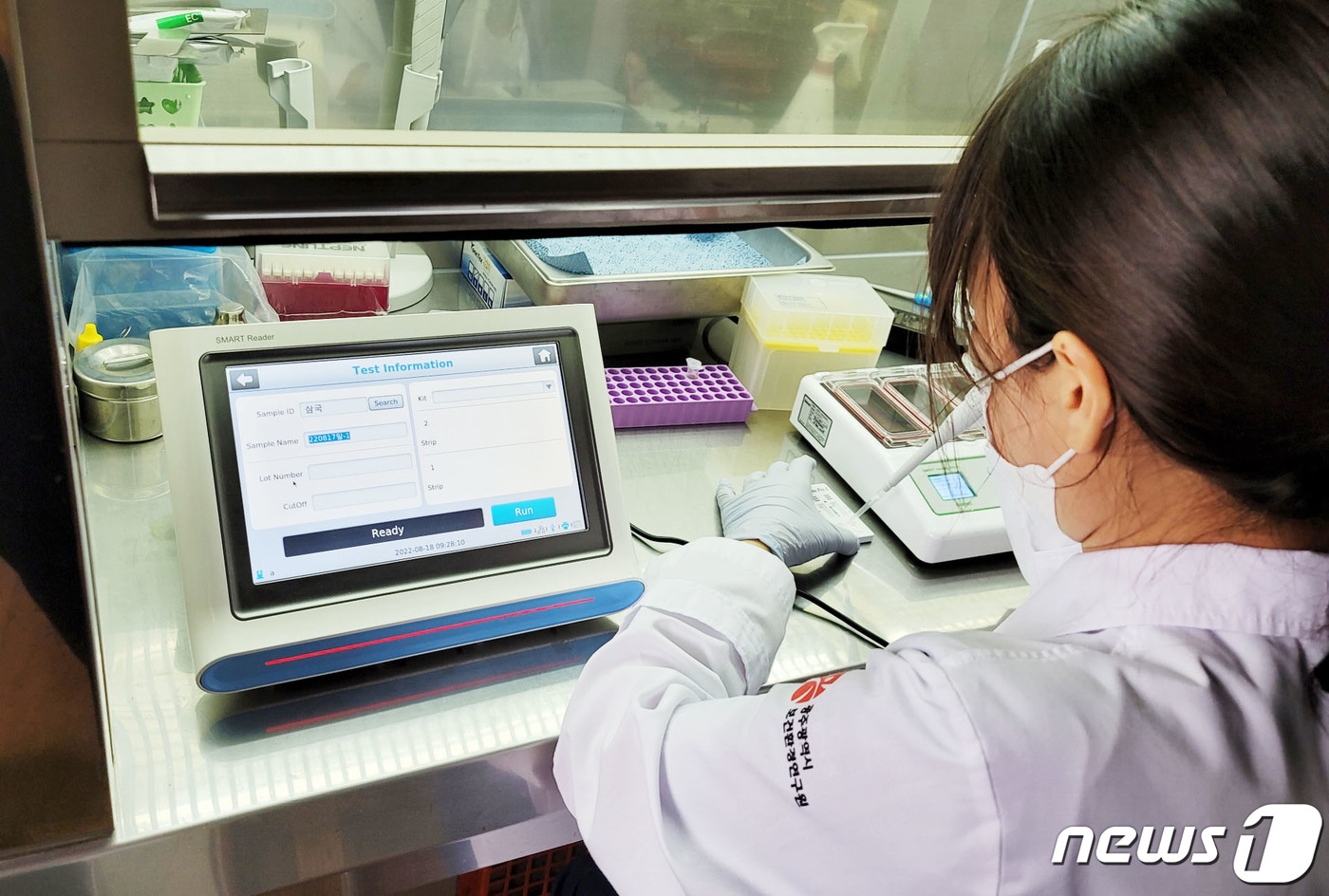 광주시 보건환경연구원 소속 연구원이 축산물 위생 검사를 실시하고 있다.(광주시 제공)2022.8.18/뉴스1 ⓒ News1 