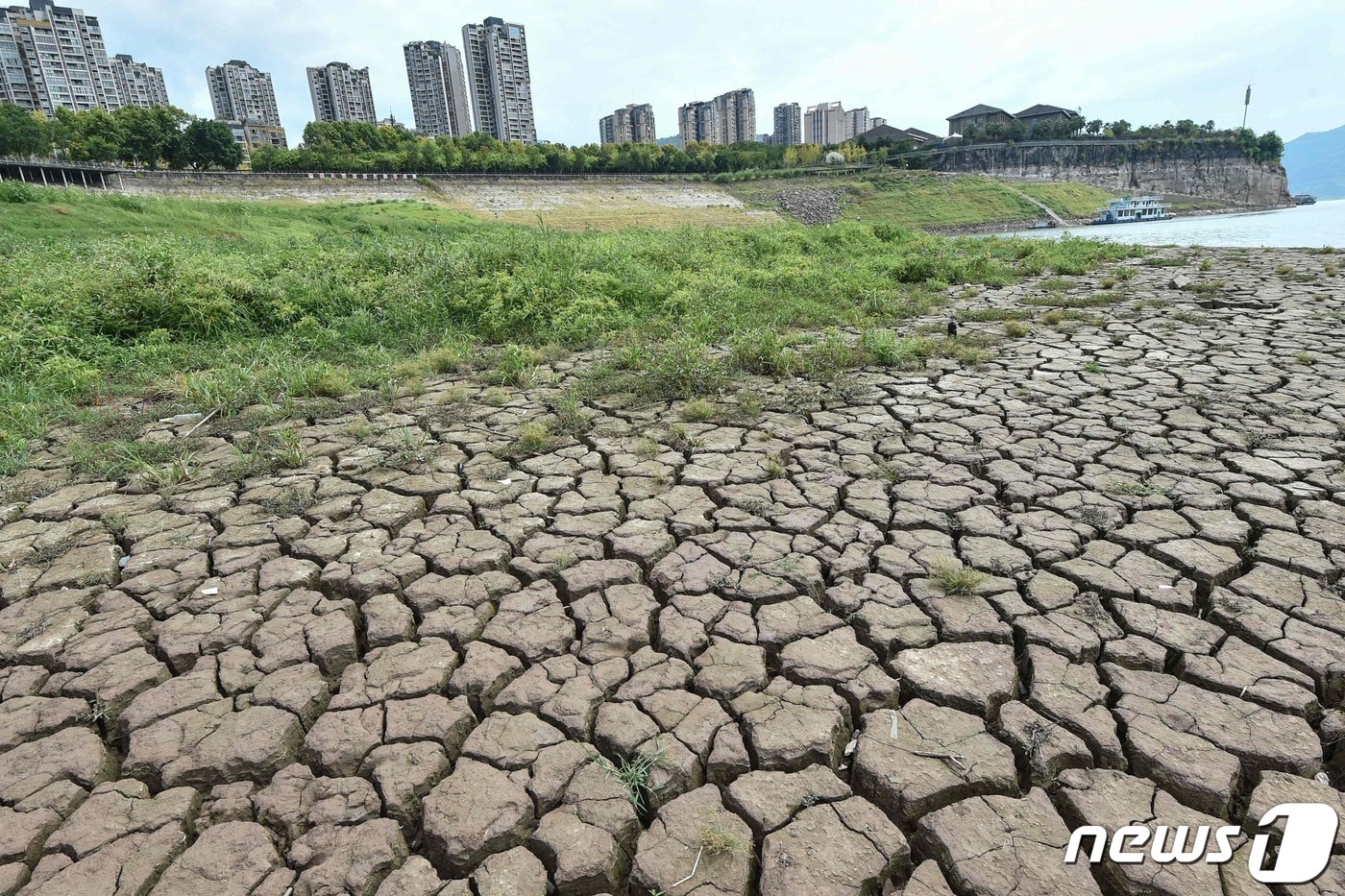 16일 &#40;현지시간&#41; 중국 충칭의 양쯔강이 극심한 가뭄으로 갈라진 바닥을 드러내고 있다. ⓒ AFP=뉴스1 ⓒ News1 우동명 기자