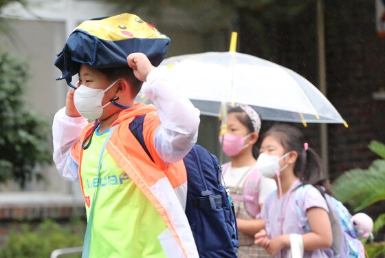 자료사진/뉴스1