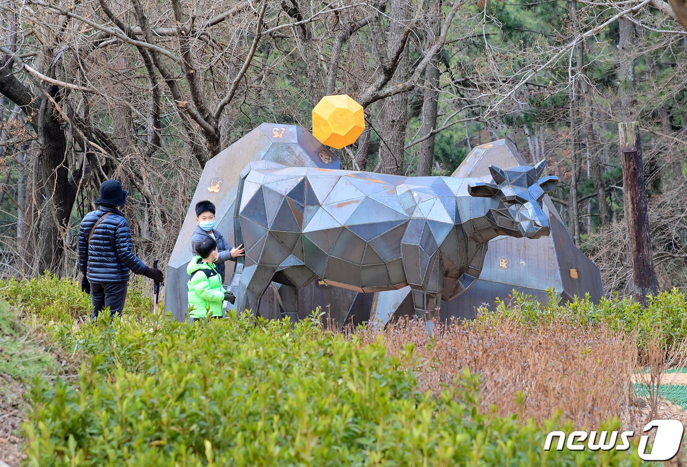 부산 해운대구 와우산.(해운대구 제공)
