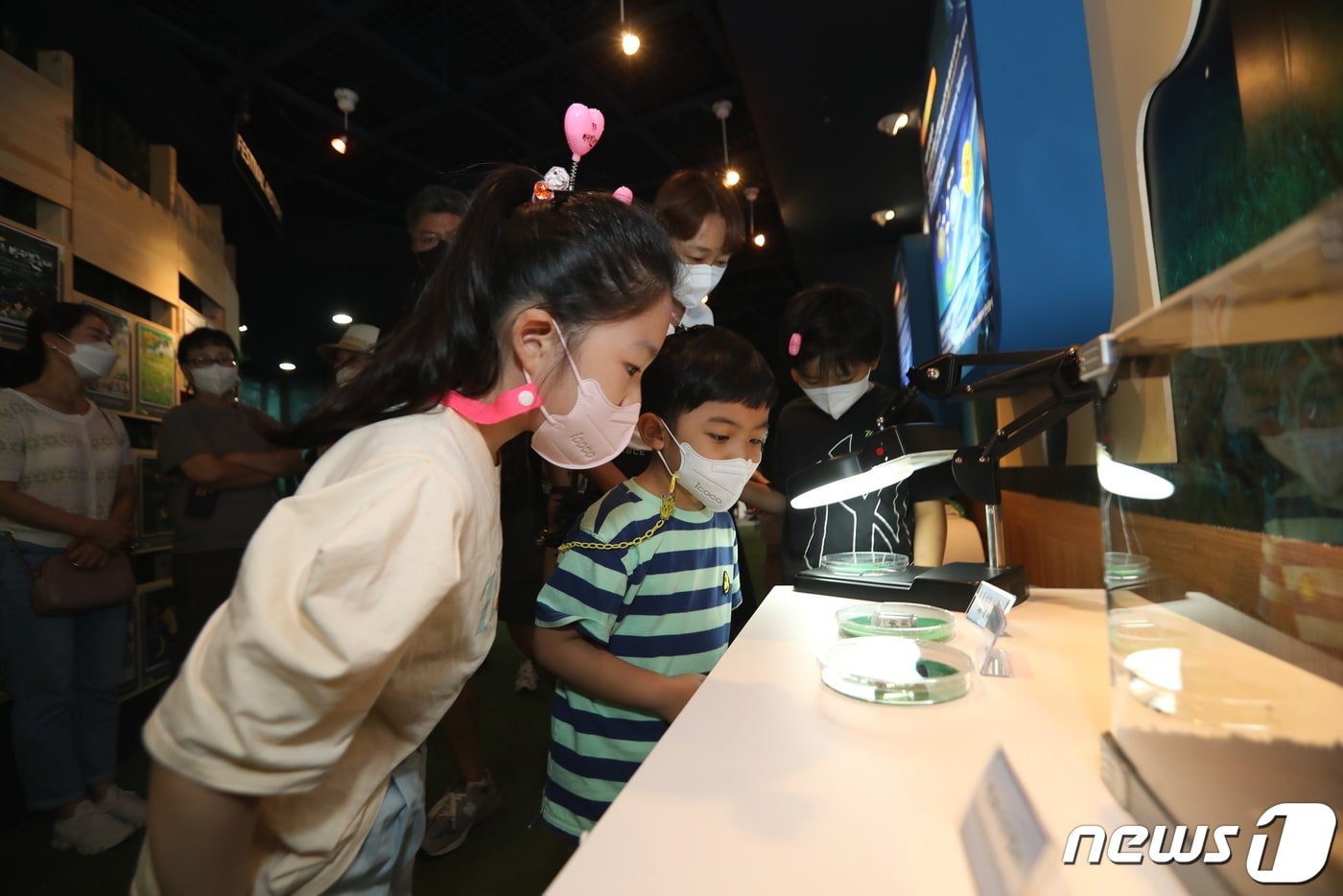 대한민국 대표 축제인 제26회 반딧불축제가 지난 27일 개막한 가운데 반딧불이의 생애와 빛을 발광하는 신비한 실제 모습과 영상을 보기 위해 많은 관람객들이 예체문화관 1층에 마련된 반디누리관을 찾았다.&#40;무주군 제공&#41;