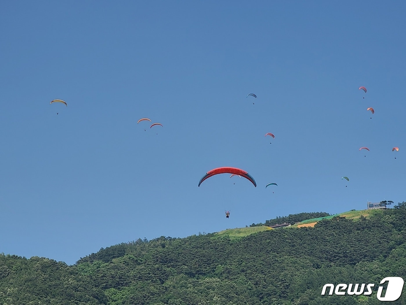 (사진은 기사 내용과 무관함) / 뉴스1 ⓒ News1ⓒ 뉴스1