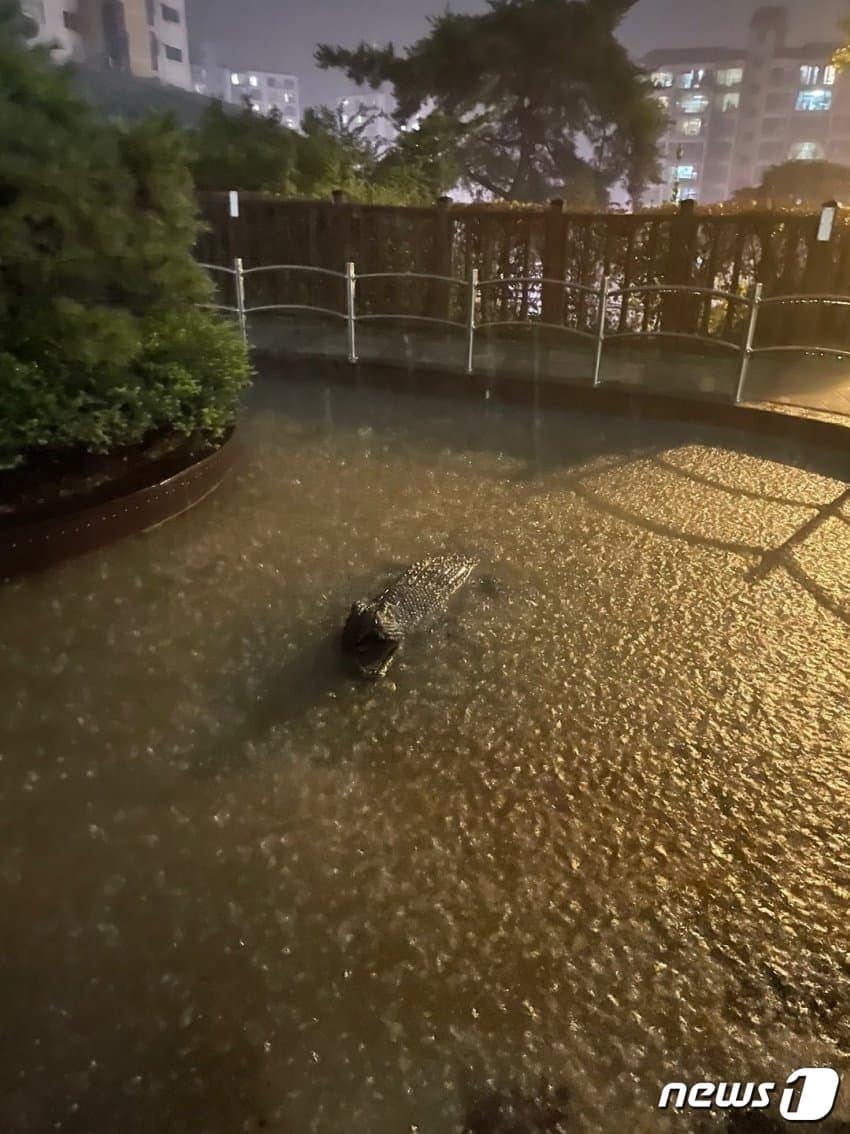 (온라인 커뮤니티 갈무리) ⓒ 뉴스1