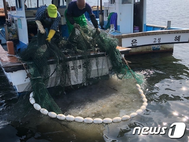해파리를 제거 중인 어선들(고성군 제공). ⓒ 뉴스1