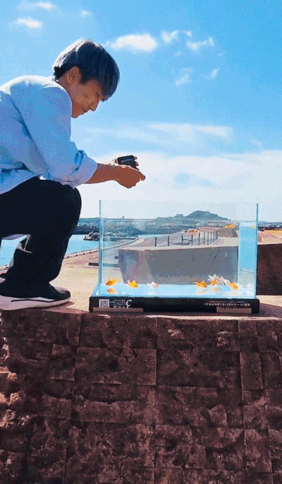 수조에 갤럭시 Z플립4를 넣어 환상적인 장면을 연출해낸 일본인 작가. &#40;아아아츠시 SNS&#41;