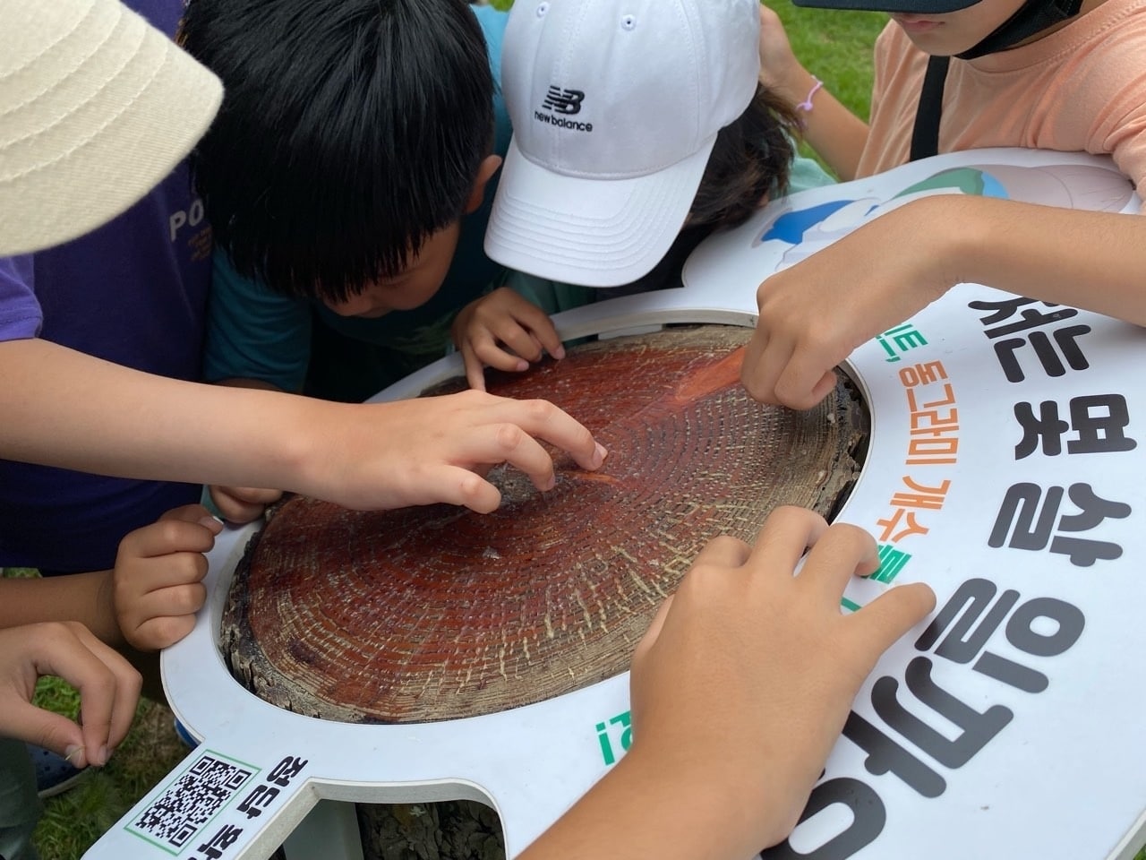 두나무 그린리더에 참여한 학생들이 숲체원에 있는 나무테를 보며 나무의 나이에 따른 탄소 흡수량을 계산하고 있다 (두나무 제공) 2022.09.13 /뉴스1