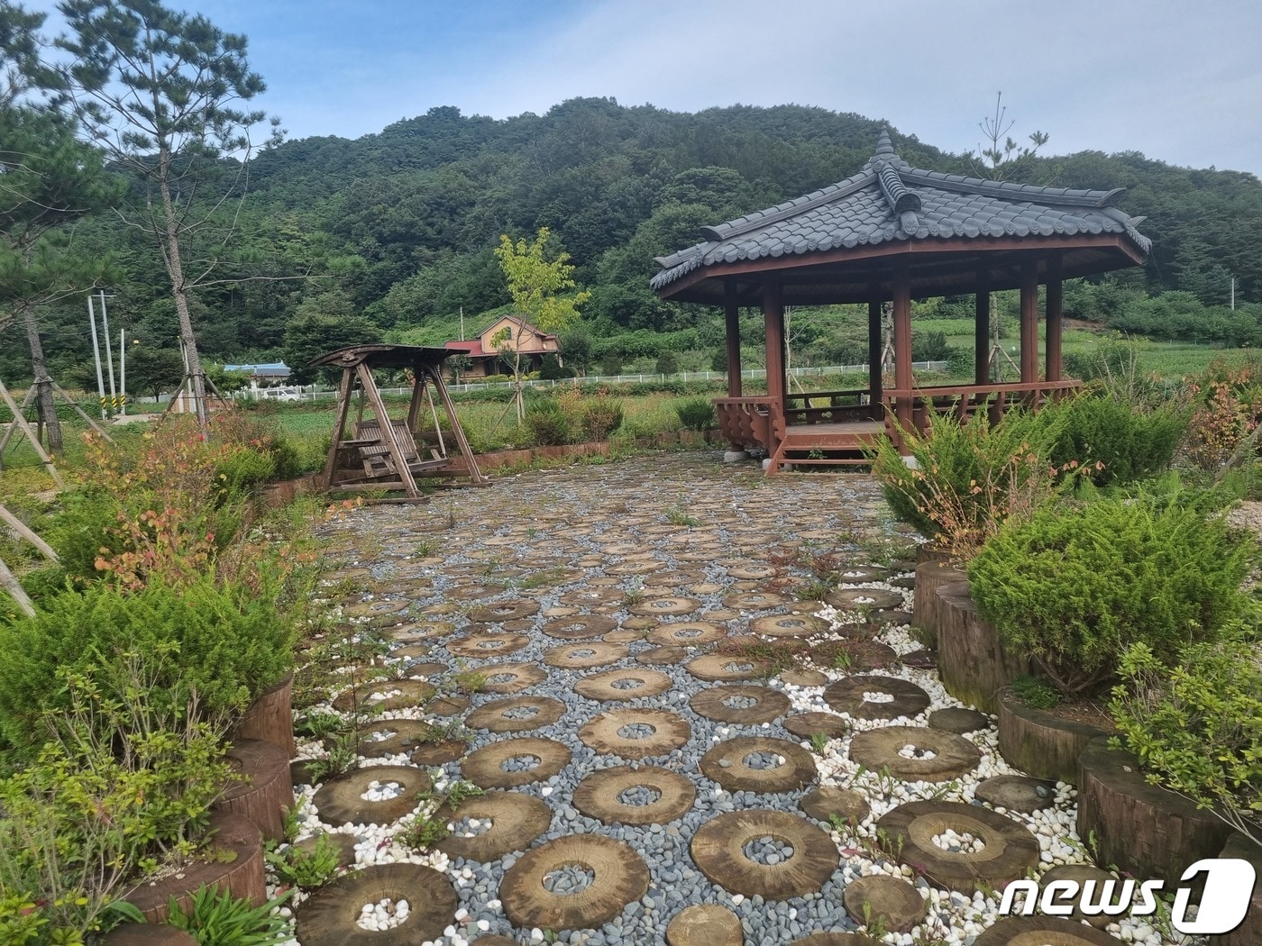 강원 영월군 나면 명전천 주변 자료사진. (영월군 제공) 2022.9.15/뉴스1