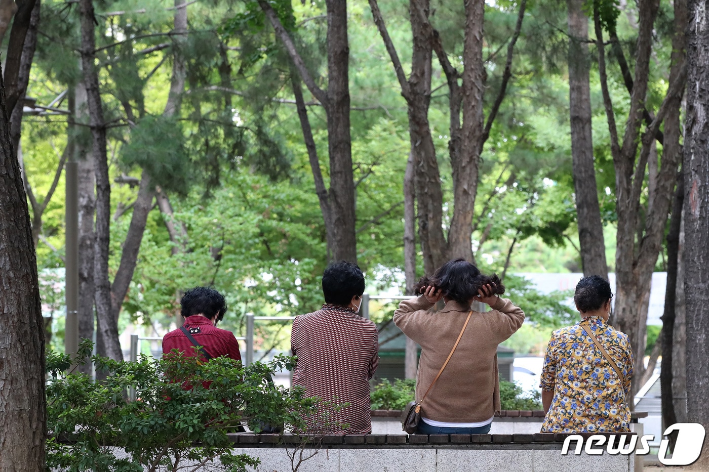 수요일인 4일 충북과 세종은 대체로 맑고 아침과 저녁에는 선선한 날씨가 이어지겠으나 낮에는 최고 33도까지 올라가는 더운 날씨가 이어지겠다.&#40;사진은 기사와 무관함&#41;/뉴스1