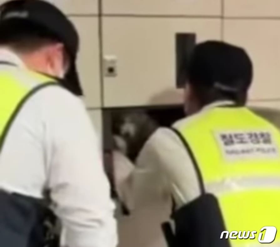 강아지가 물품보관함에서 구조되는 장면.(동물권단체 '케어' SNS 갈무리)ⓒ 뉴스1