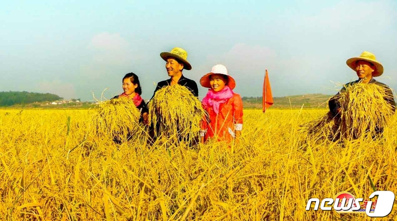 (평양 노동신문=뉴스1) = 북한 노동당 기관지 노동신문은 29일 김정은 총비서가 황해남도에 5500대의 새로운 농기계를 보급한 것에 대해 "노동당만이 내릴 수 있는 용단이며 위대한 우리 당만이 이루어낼 수 있는 혁명적 실천"이라고 치켜세우며 농업의 기계화와 농업부문 일꾼들과 근로자들의 사회주의농촌건설 강령 실현을 위한 본분을 강조했다. [국내에서만 사용가능. 재배포 금지. DB 금지. For Use Only in the Republic of Korea. Redistribution Prohibited] rodongphoto@news1.kr