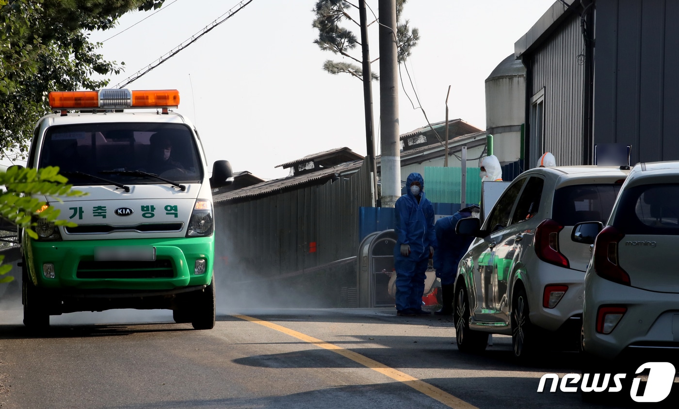  경기 김포시의 한 양돈농장 입구에서 방역당국 관계자가 방역을 하고 있다. 2022.9.29/뉴스1 ⓒ News1 정진욱 기자