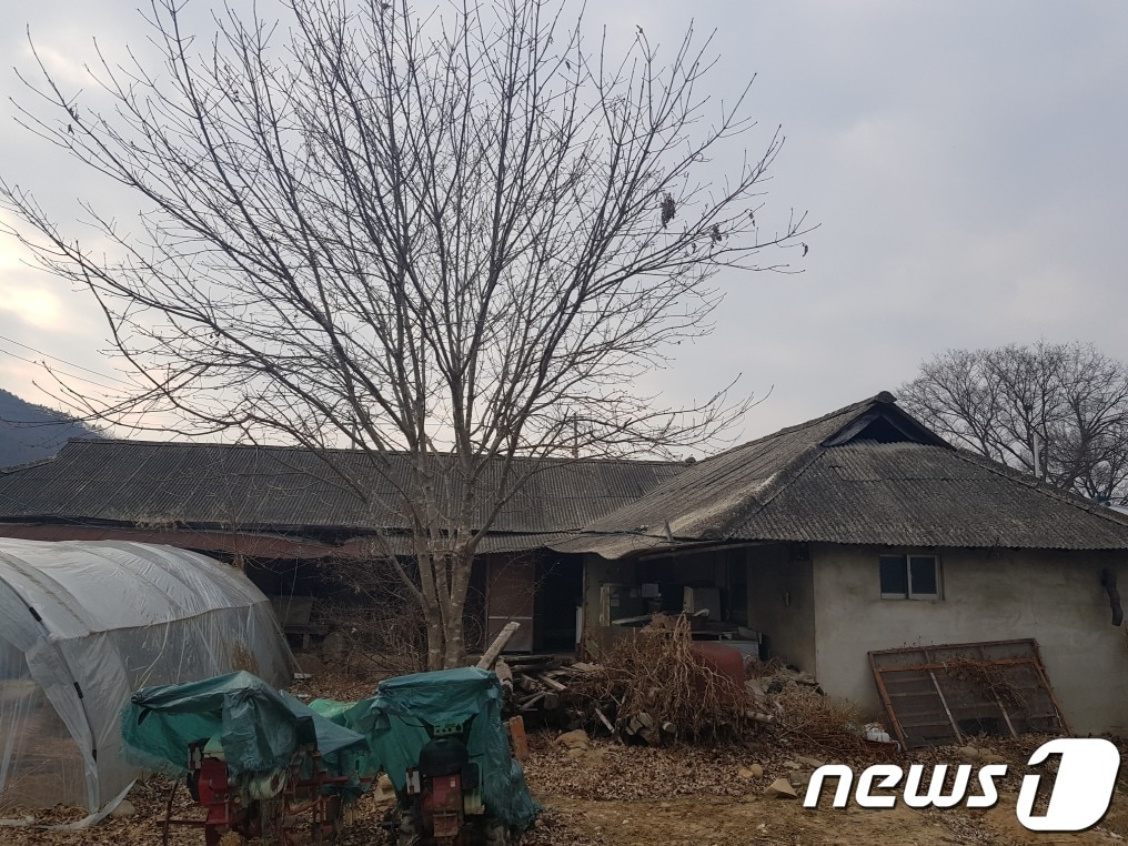 농촌 빈집 / 뉴스1