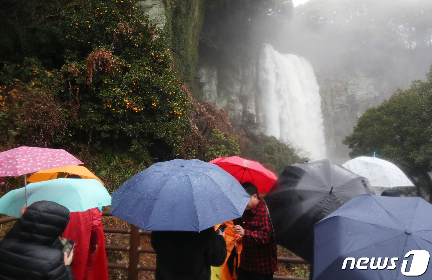 제주 서귀포시 강정동 엉또폭포. 엉또폭포는 70㎜ 이상 강수를 보일 때 폭포수가 형성된다. /뉴스1 