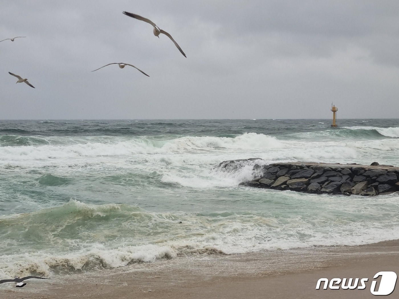 강원 파도 치는 강원 강릉 도깨비 방사제.(뉴스1 DB) ⓒ News1 윤왕근 기자