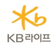 KB라이프생명 CI