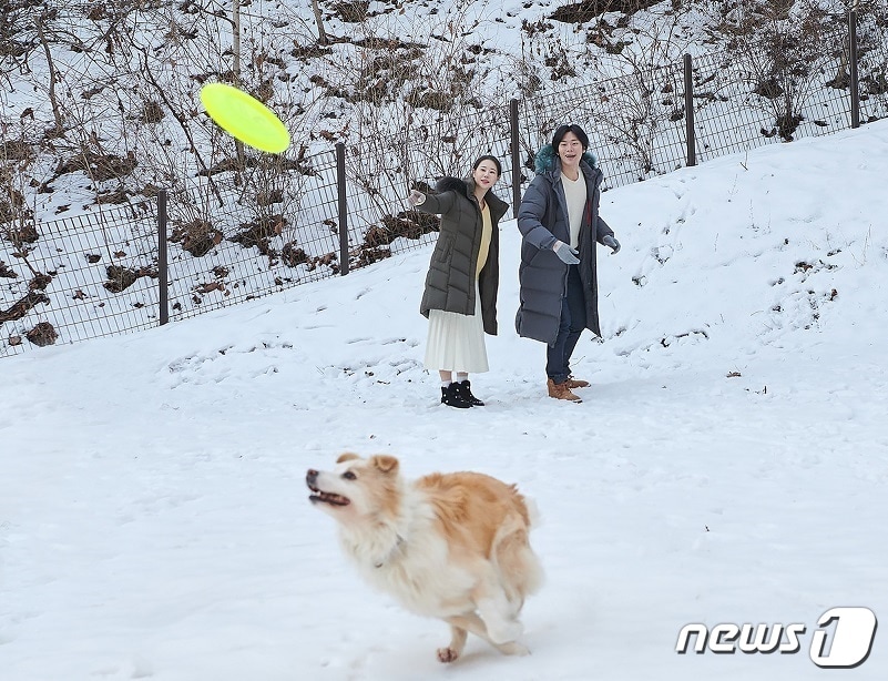 강원 홍천 소재 힐리언스 선마을 펫그라운드.(힐리언스 선마을 제공) 2023.1.20/뉴스1