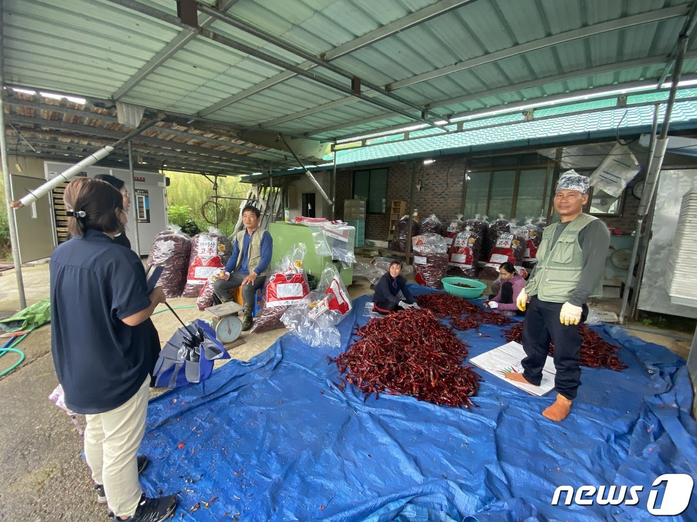 전북 진안군이 농림식품부가 주관한 공공형 외국인 계절근로자 프로그램 사업에 선정됐다. 사진은 지난해 진안군에서 지원한 계절근로자.&#40;진안군제공&#41;2023.1.3/뉴스1