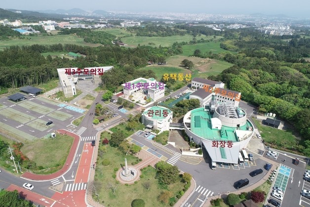 제주 양지공원 전경. ⓒ News1 홍수영 기자