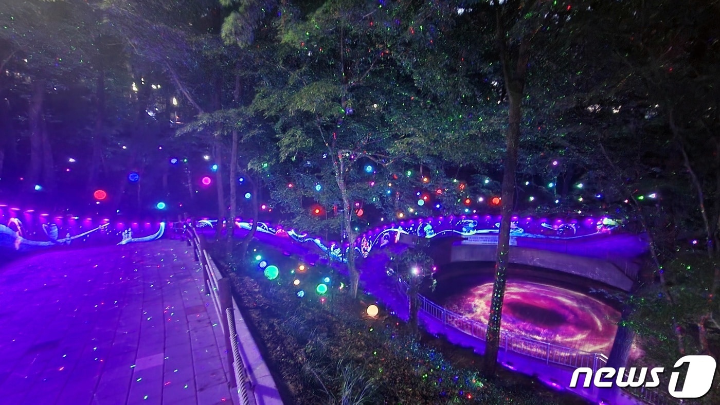 광주 사직공원 산책로에 조성한 '사직 빛의 숲'. 자료사진./뉴스1 