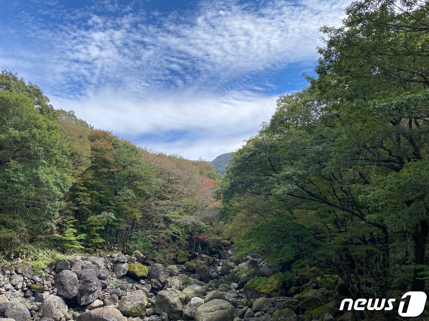 자료사진.ⓒ News1 