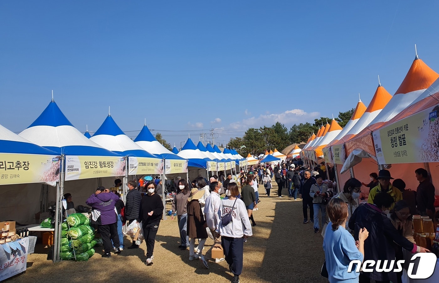 경기 연천군 전곡리유적지에서 열리고 있는 연천율무축제. &#40;연천군 제공&#41;