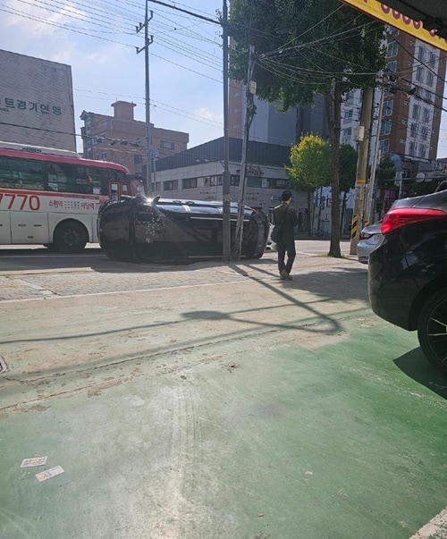 (보배드림 갈무리)