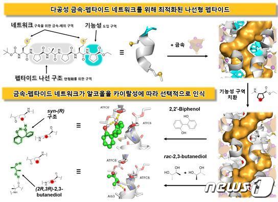 카이랄성 알코올 화합물을 선택적으로 인식하는 펩타이드 기반 기능성 소재 개발 모식도.(KAIST 제공)/뉴스1