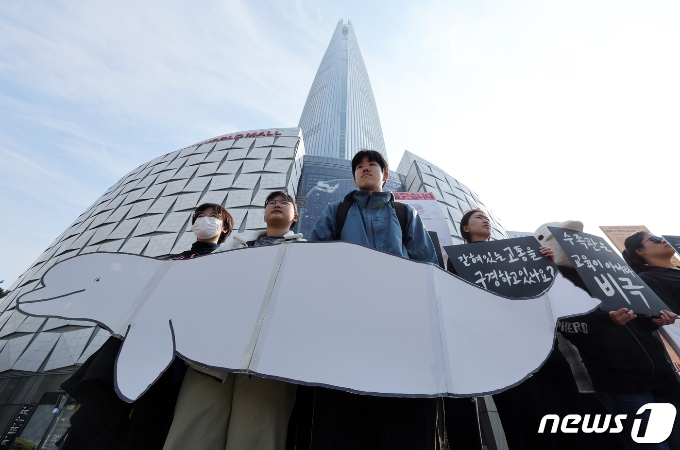 구경 하다 영어 로 (80) 사진