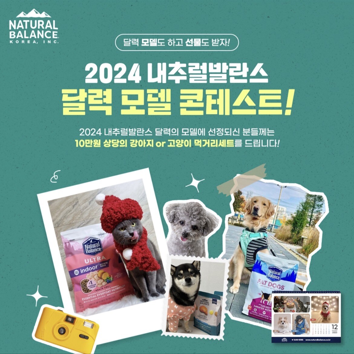 귀여움 뽐내고 모델 되자