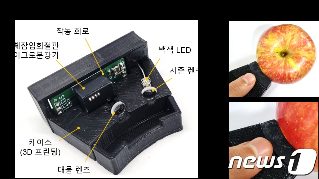 고체잠입회절판구조 마이크로분광기 기반 휴대용 분광 센서&#40;왼쪽&#41;와 휴대용 분광 센서를 이용한 과일 표면 반사 스펙트럼 측정. &#40;KAIST 제공&#41; /뉴스1