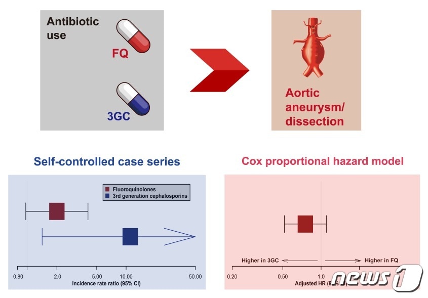 콕스비례위험모형과 자기-대조 환자군 연구 결과.(정재훈 가천의대 부교수 제공)/뉴스1