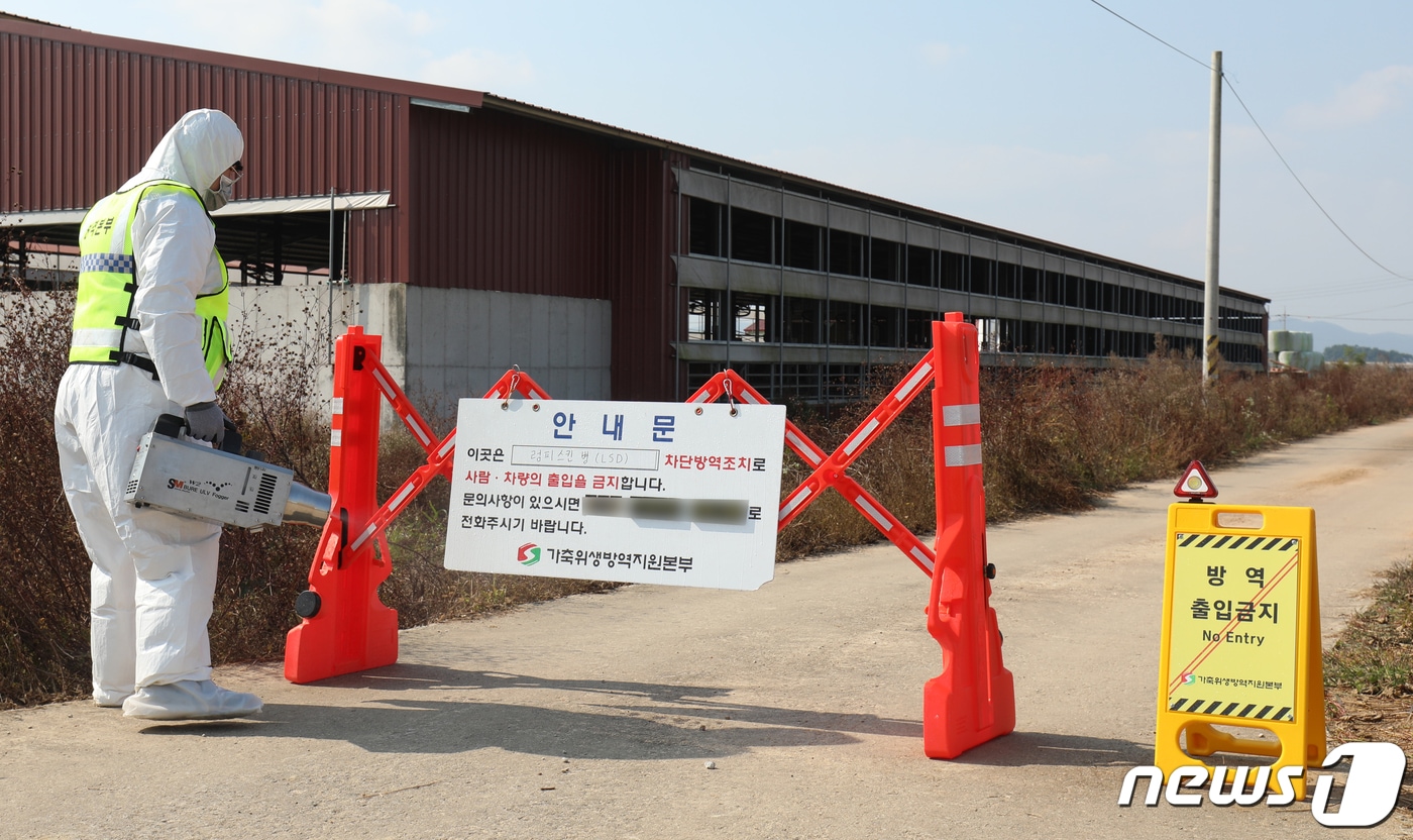 전북지역에 첫 럼피스킨병 의심 농가가 발생한 10월25일 전북 부안군 백산면 한 농가 일대에서 관계자가 차단방역을 위해 출입 금지 안내문을 설치하고 있다. 2023.10.25/뉴스1 ⓒ News1 유경석 기자