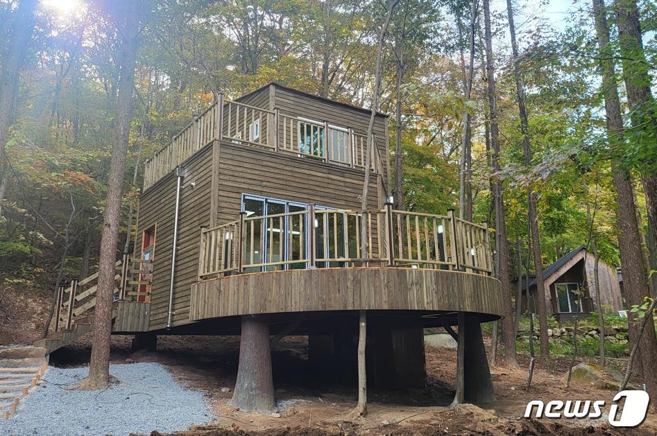 조령산휴양림 트리하우스