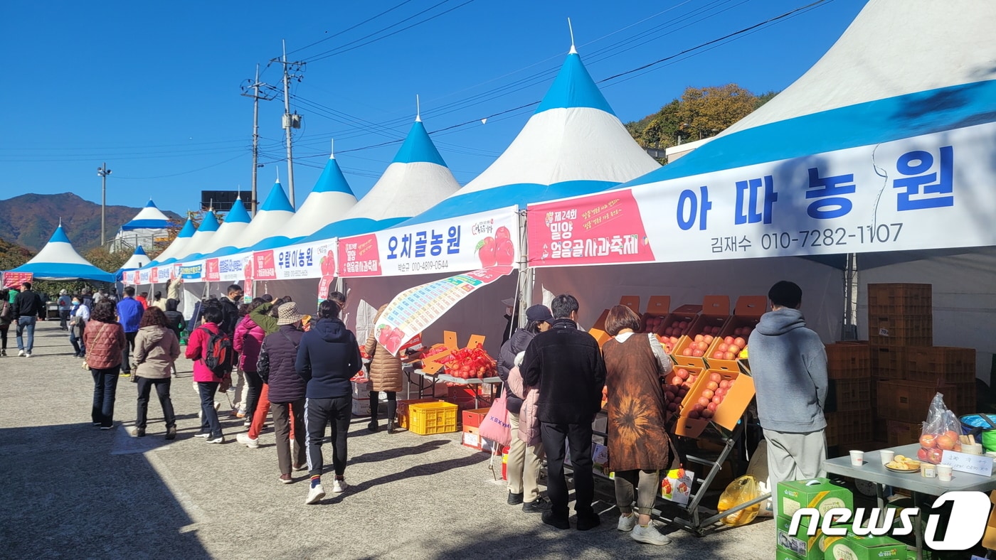 지난해 밀양얼음골사과축제 판매장에서 방문객들이 사과를 구매하고 있다.&#40;밀양시 제공&#41;