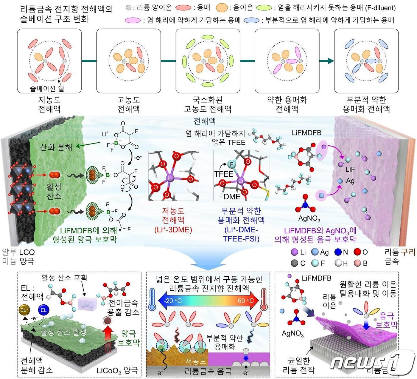 전해액의 솔베이션 구조의 변화&#40;위&#41;와 개발 전해액 조성의 작동 메커니즘 모식도&#40;아래&#41;.&#40;KAIST 제공&#41;/뉴스1