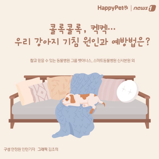 강아지 호흡기 질환 펫카드