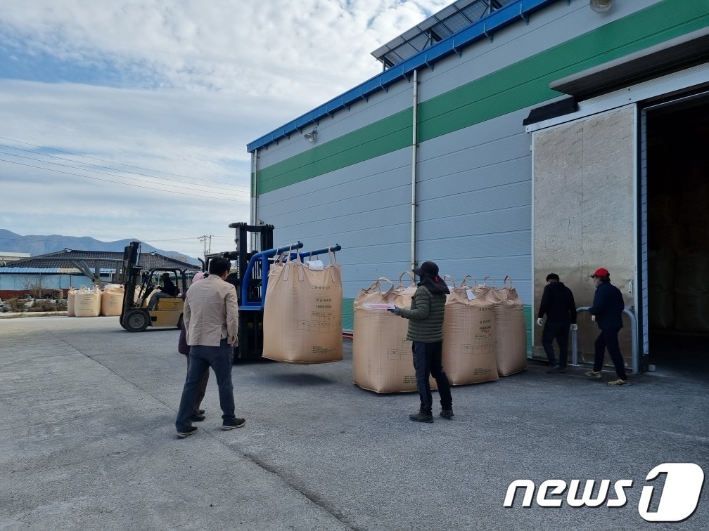  전북 고창군이 올해 공공비축미곡 가루쌀 280톤 전량을 매입했다.&#40;고창군 제공&#41;2023.11.14/뉴스1