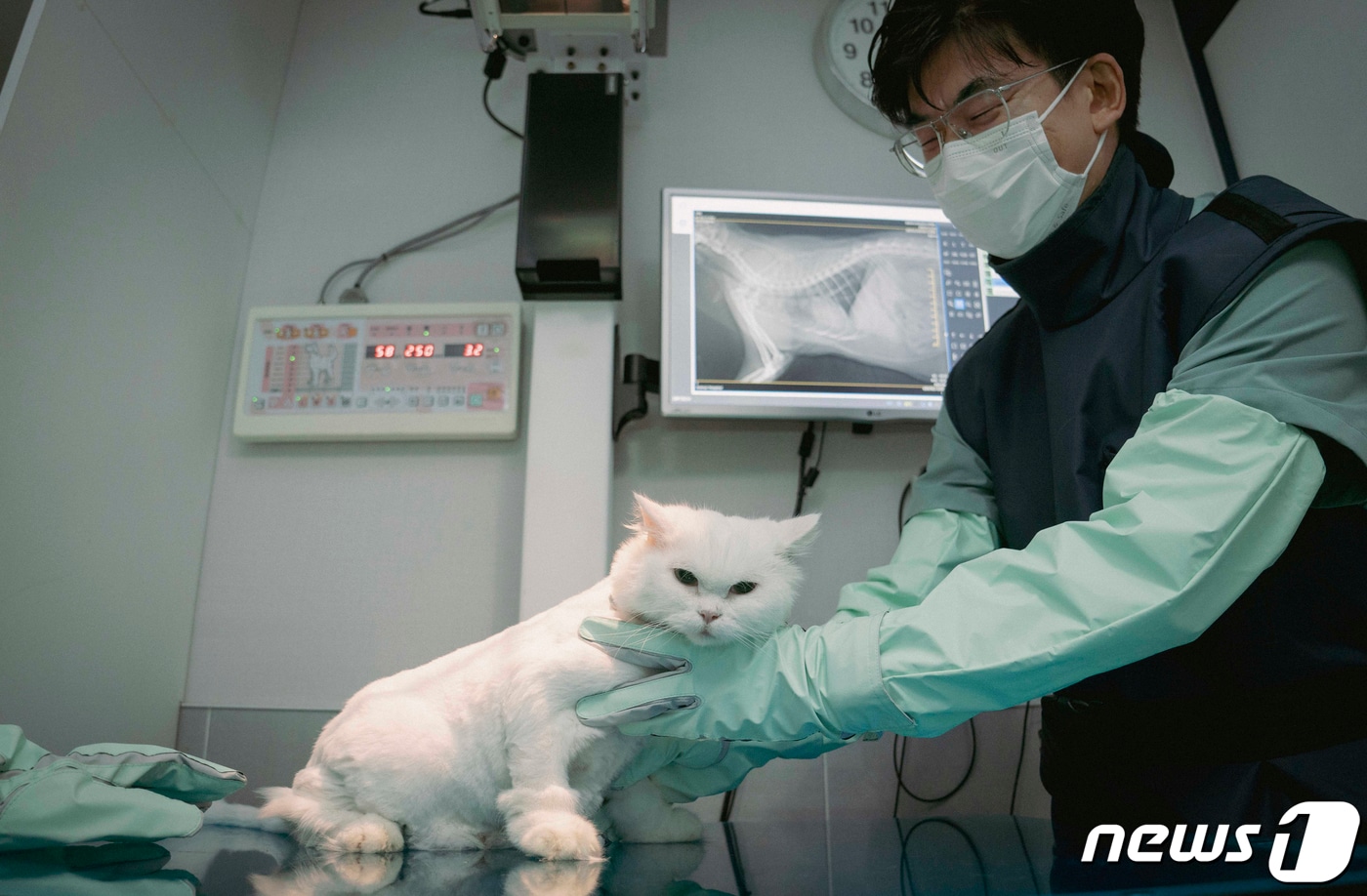 (사진은 기사 내용과 무관함) / 뉴스1 ⓒ News1