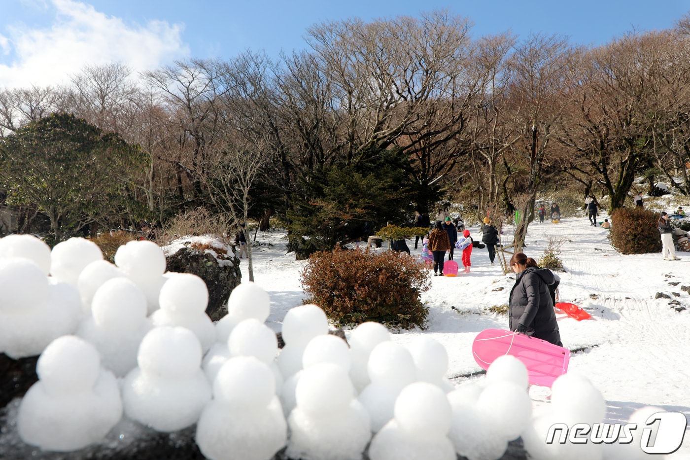 19일 오후 제주 서귀포시 1100고지습지 일대에서 제주도민과 관광객들이 눈썰매를 즐기고 있다.2023.11.19./뉴스1 ⓒ News1 오미란 기자