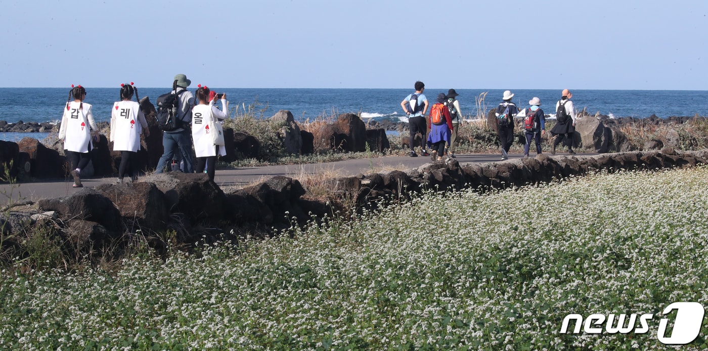 제주 올레길(자료사진)/뉴스1